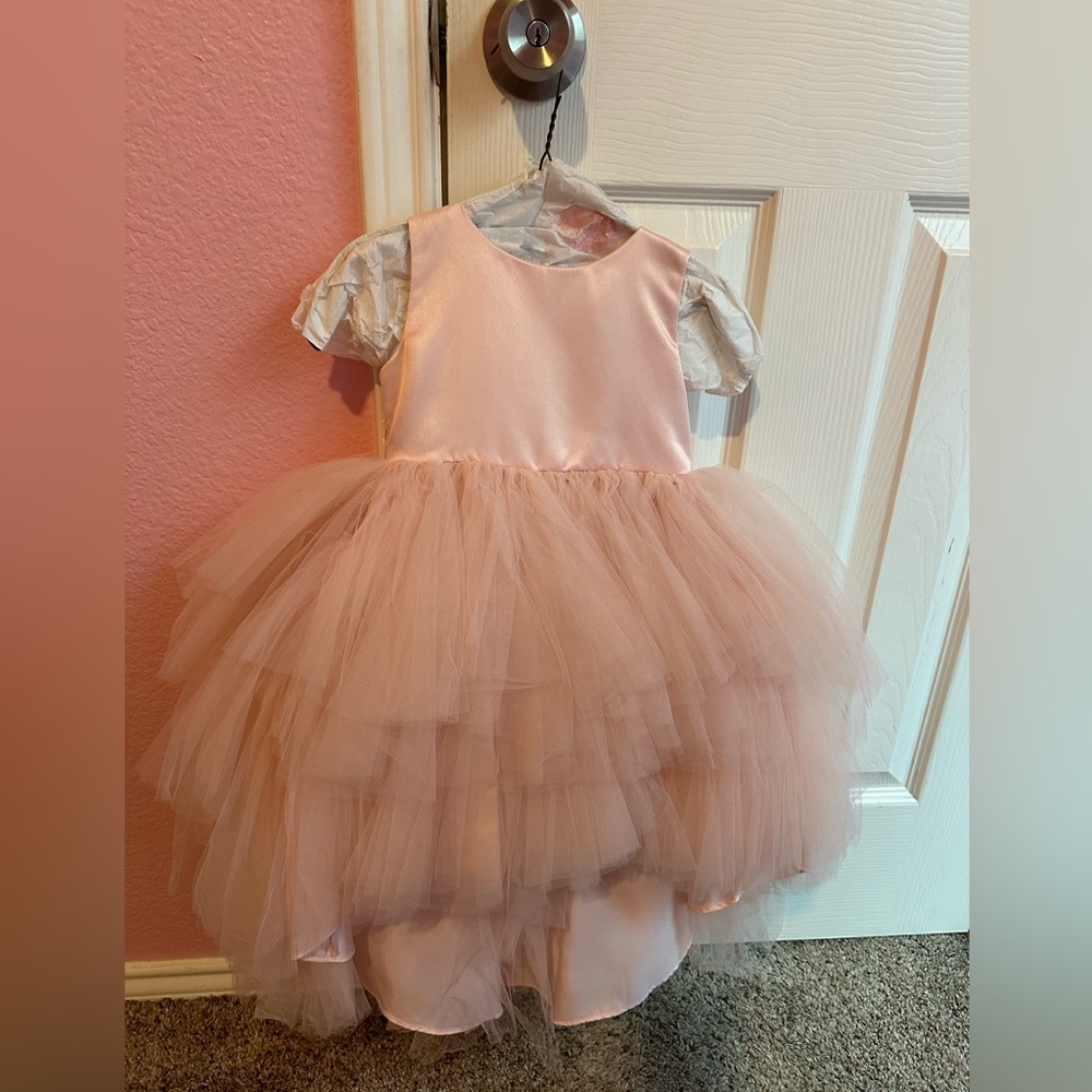 Toddler girl flower girl or princess party dress
